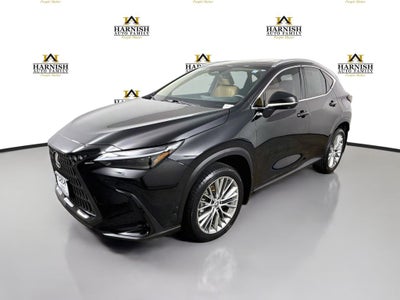 2024 Lexus NX 350h Luxury