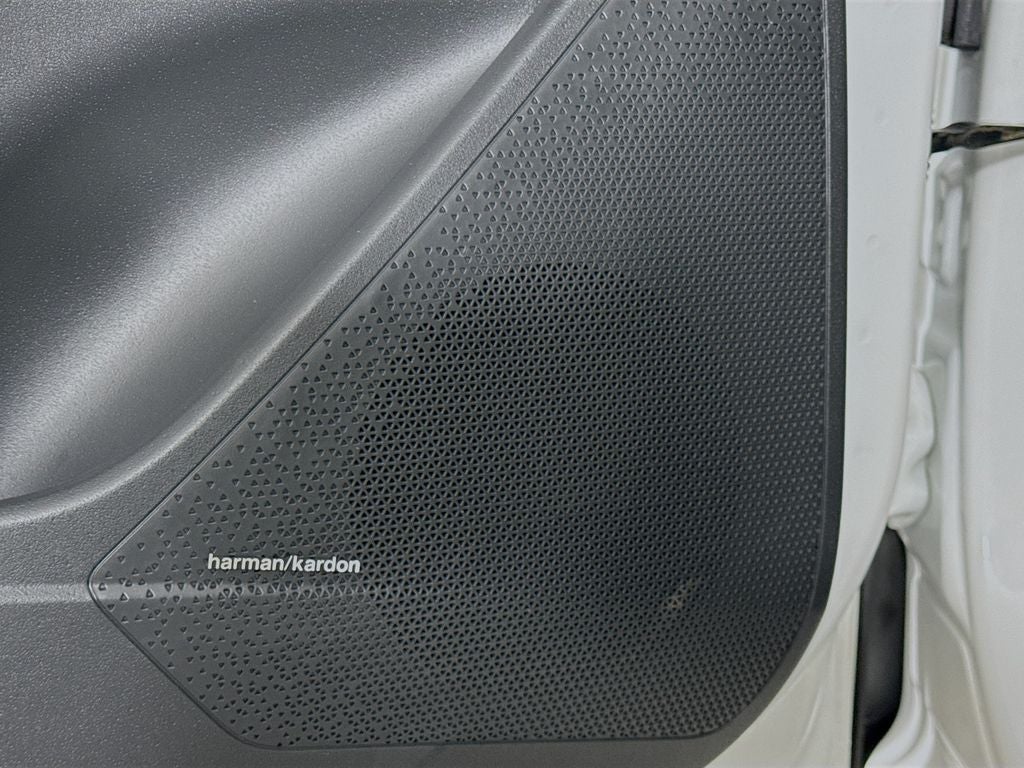 2024 Kia Niro EV Wave