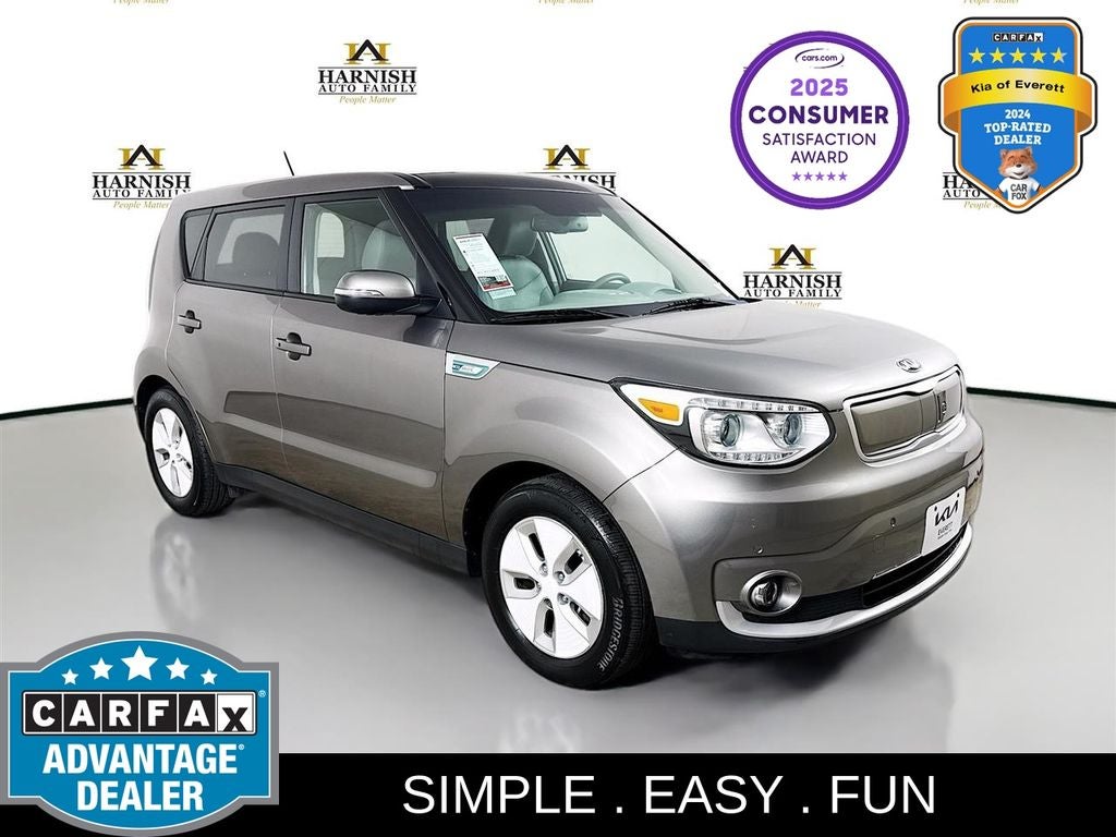 2016 Kia Soul EV +