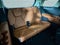 2027 Kia Carnival Hybrid SX