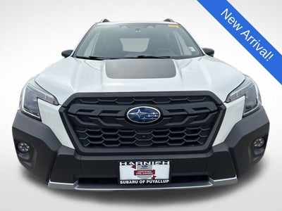 2023 Subaru Forester Wilderness