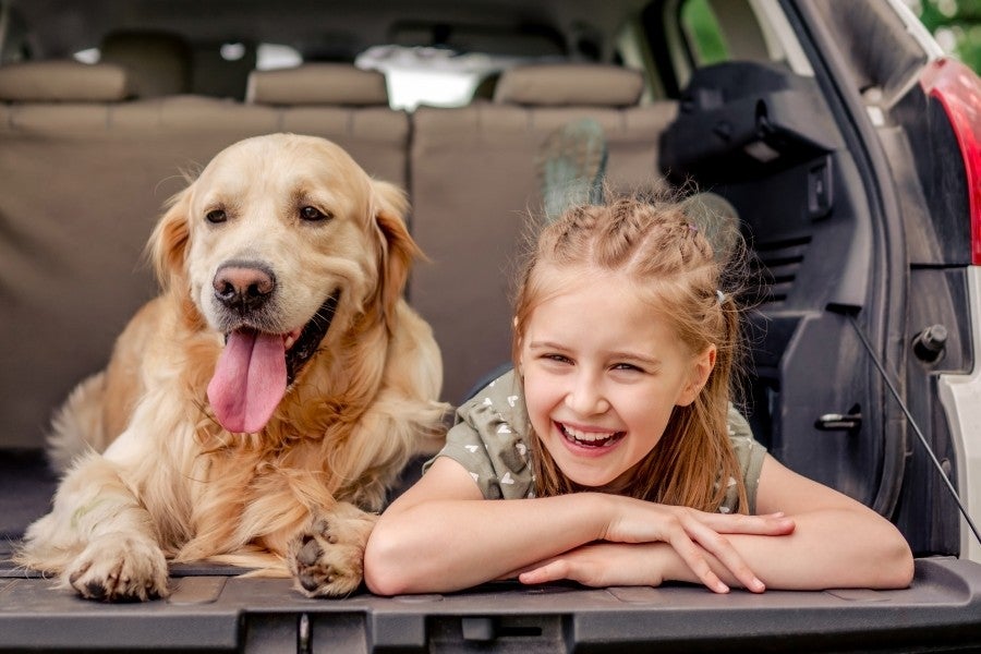 A smiling young girl and a golden retriever lying in a car trunk.